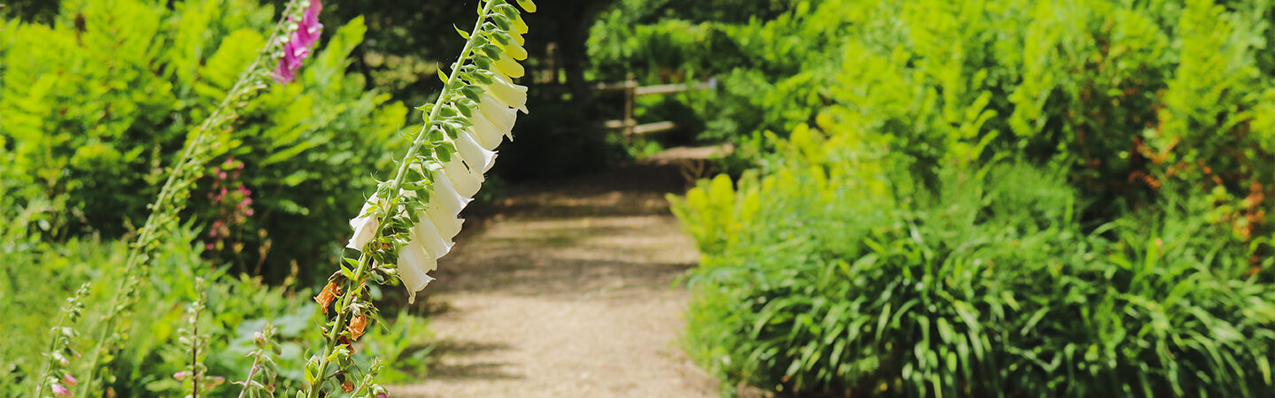 The Walled Garden at Moreton Estate, Fowler Fortescue Projects