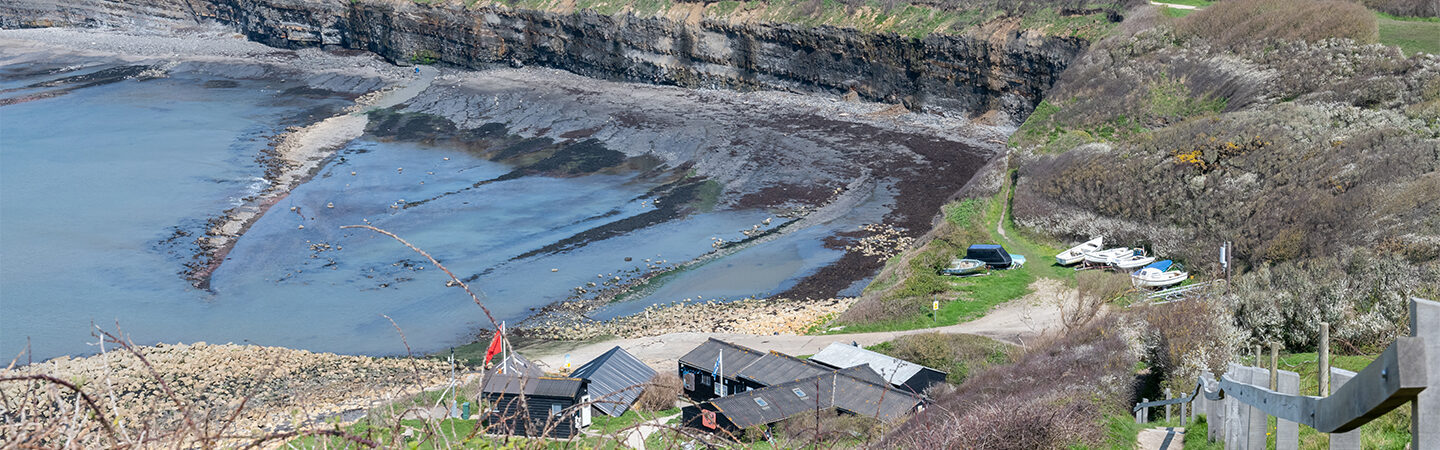 Smedmore Estate, Kimmeridge Bay Project - Fowler Fortescue – Independent Chartered Surveyors specialising in Rural Asset, Land & Estate Management