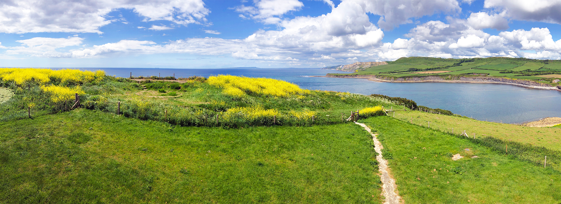 Smedmore Estate, Kimmeridge Bay Project - Fowler Fortescue – Independent Chartered Surveyors specialising in Rural Asset, Land & Estate Management