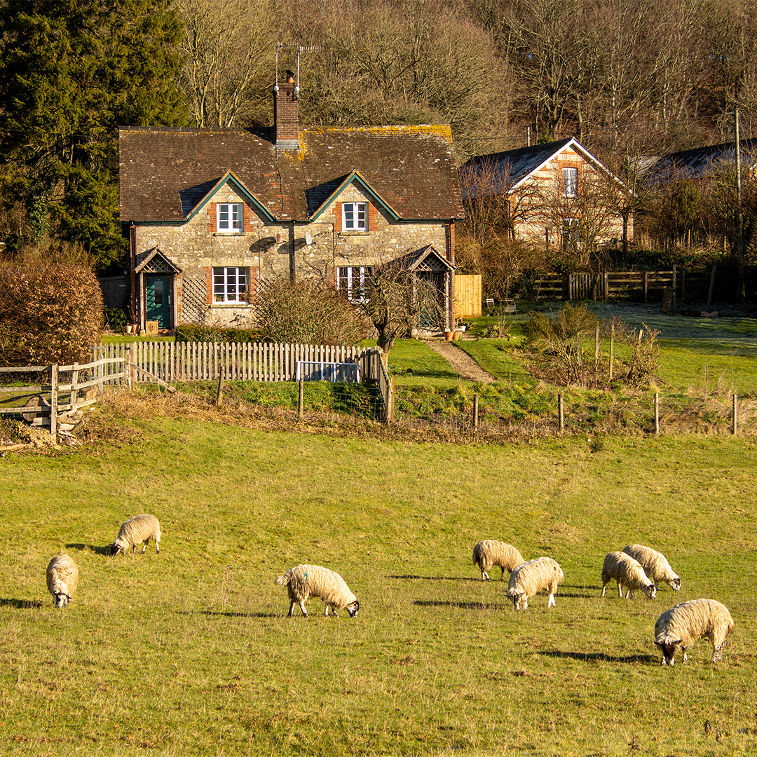 Account Management by Fowler Fortescue – Independent Chartered Surveyors specialising in Rural Asset, Land & Estate Management