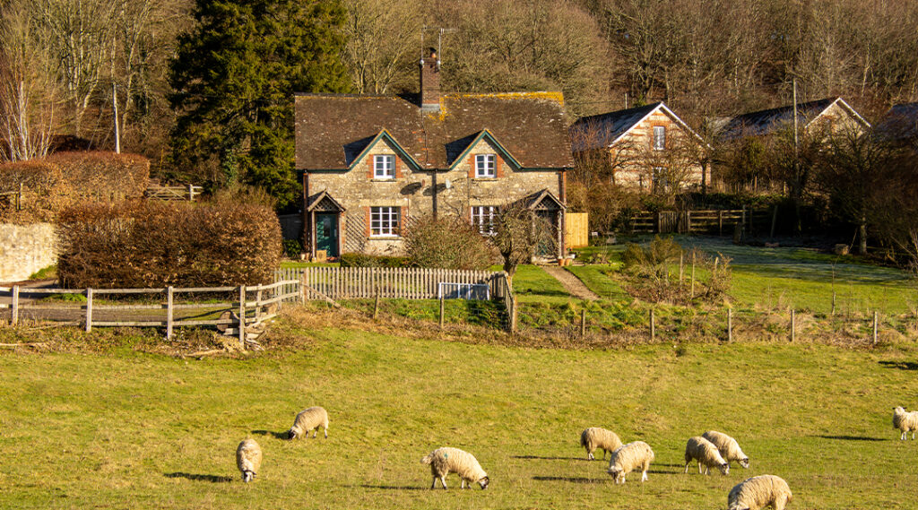 Property Management by Fowler Fortescue – Independent Chartered Surveyors specialising in Rural Asset, Land & Estate Management